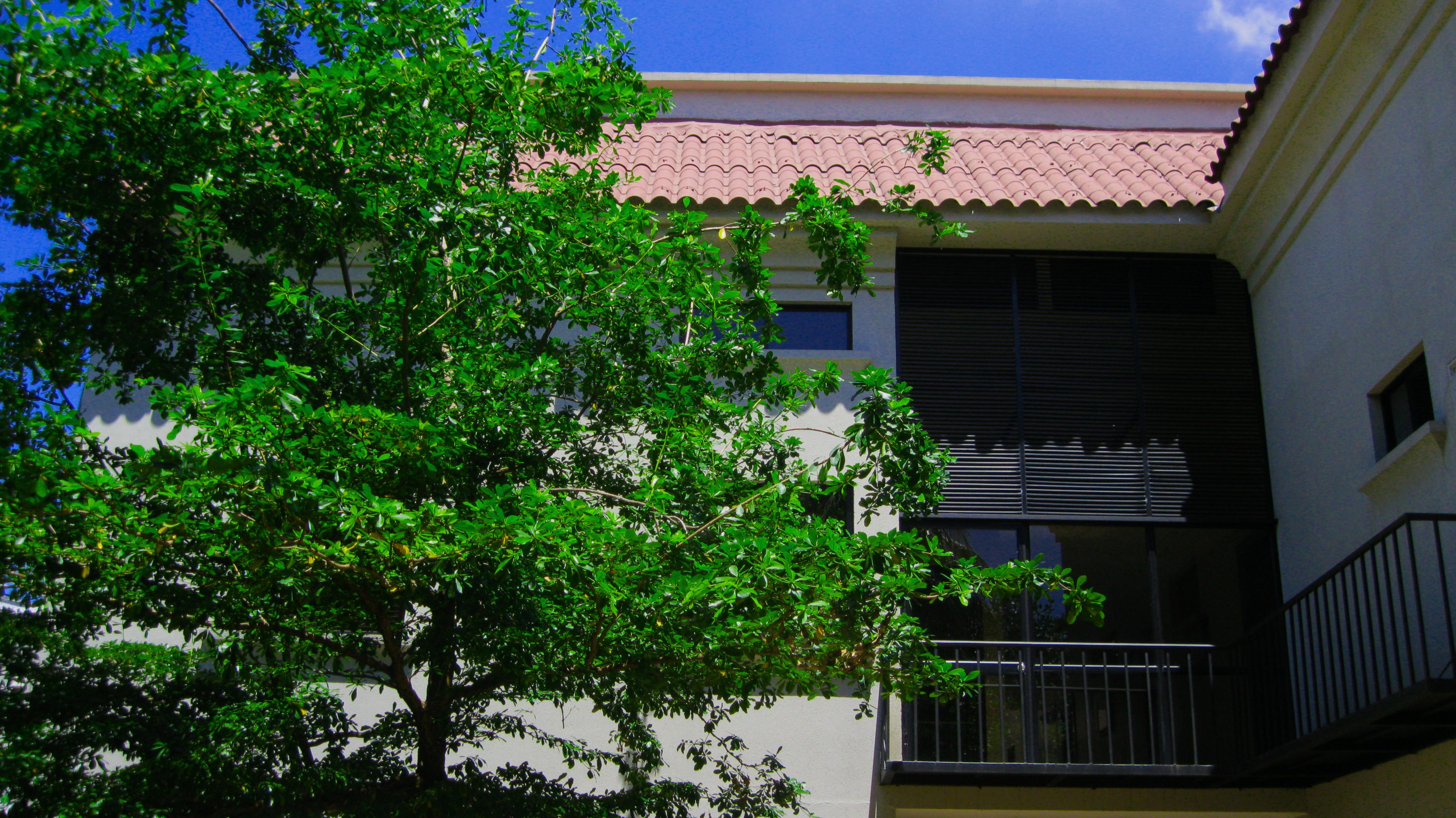 Apartterrazas Guayaquil -Suites&Lofts- Dış mekan fotoğraf